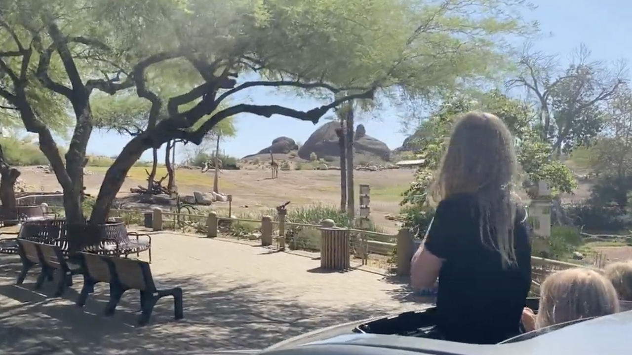 The Phoenix Zoo is back open What you need to know